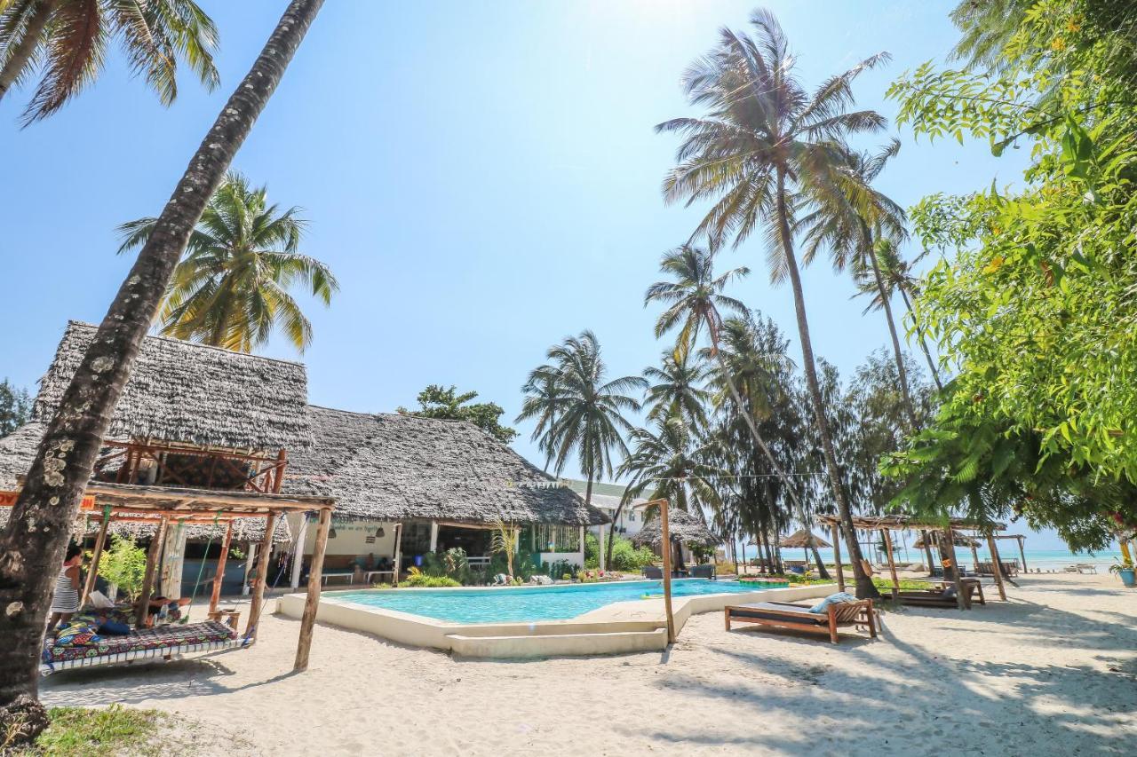 New Teddy'S On The Beach Jambiani  Exterior photo